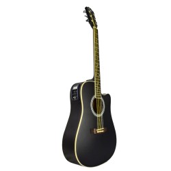 Guitarra electro acústica....