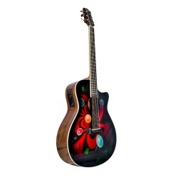 Guitarra electro acústica...