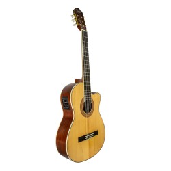 Guitarra electro acústica...